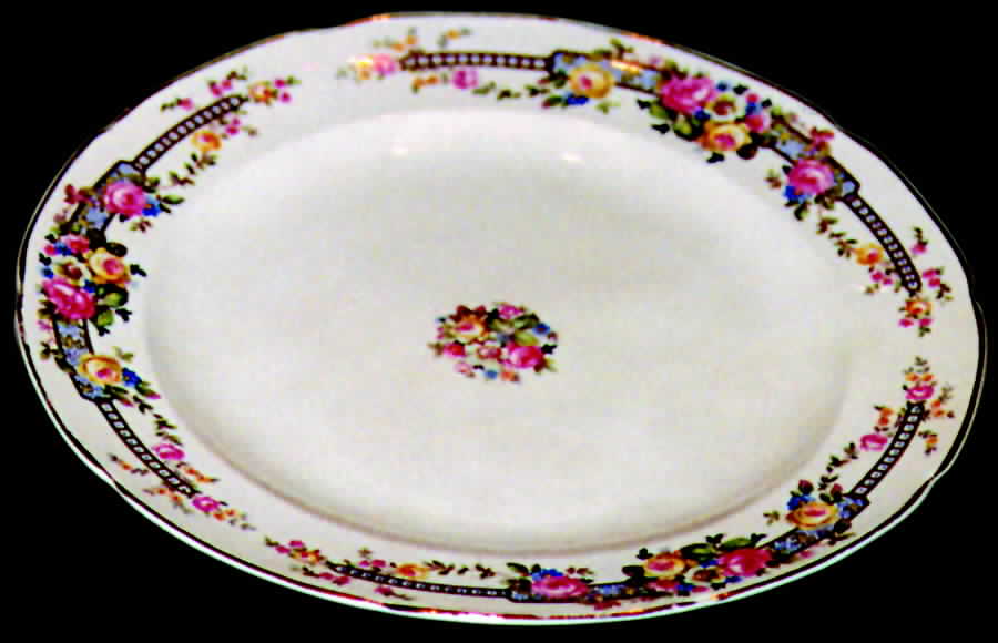 CRO120 Dinner Plate by Crooksville-1