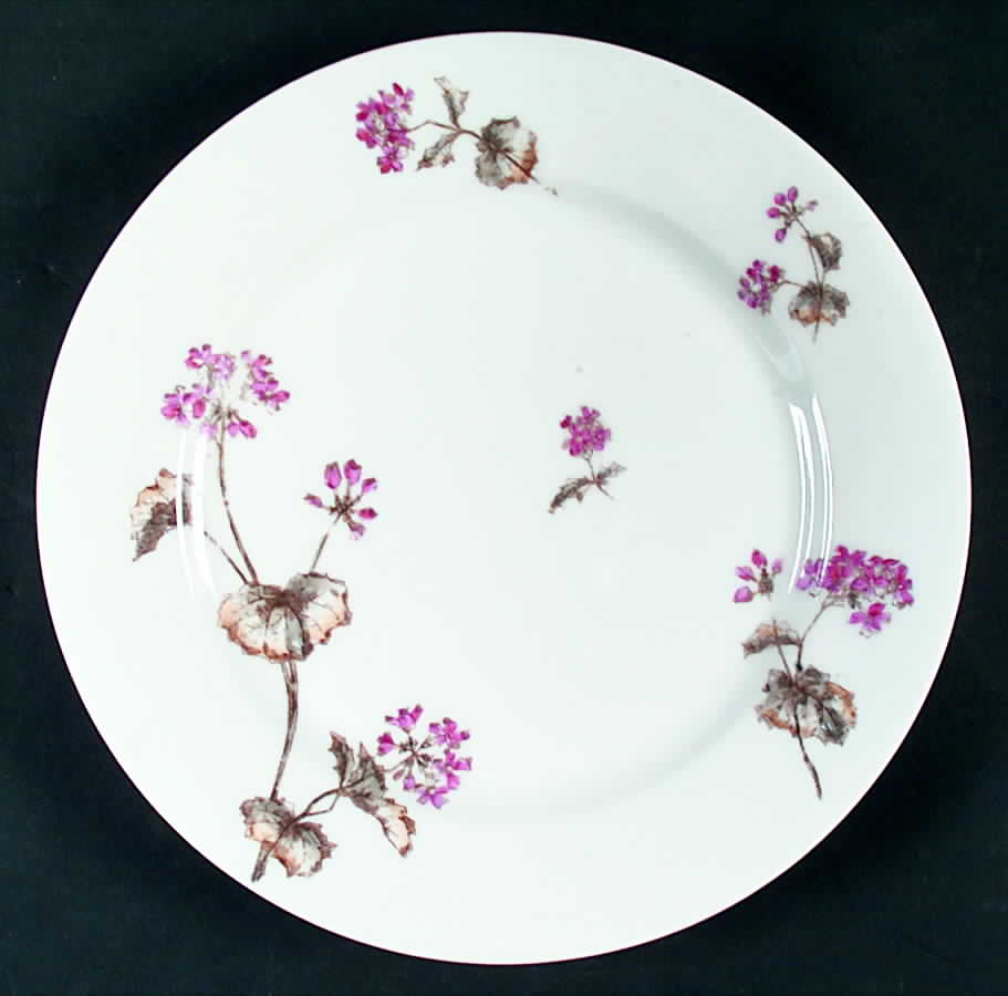 Schleiger 1306 Dinner Plate by Charles Field Haviland-1
