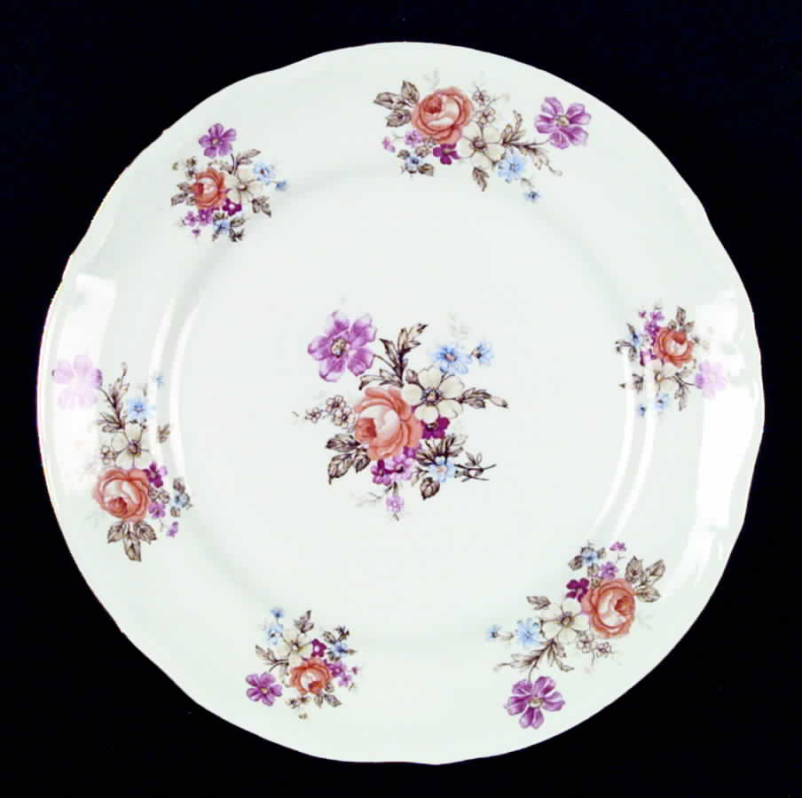 CHZ10 Dinner Plate by Chodziez-Poland-1