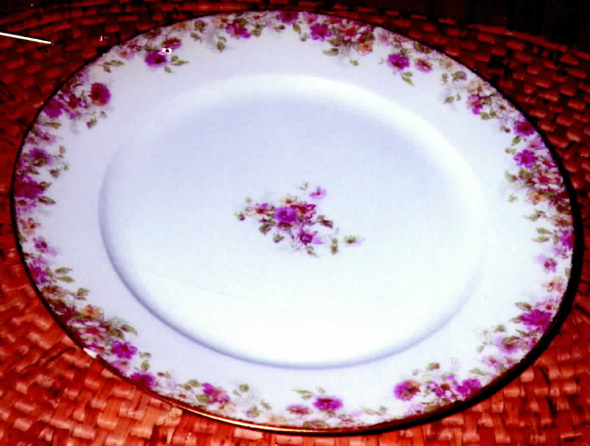 CHF377 Dinner Plate by Charles Field Haviland-1