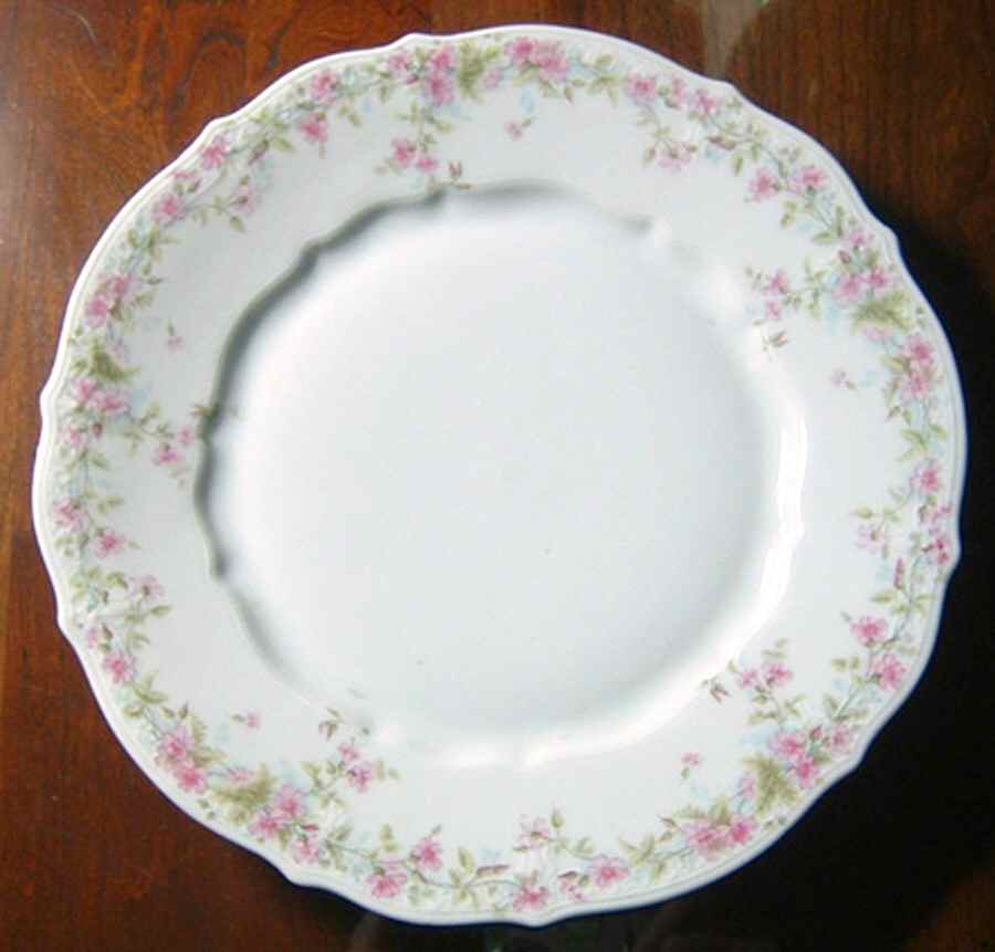 CTI34 Dinner Plate by Carl Tielsch-1