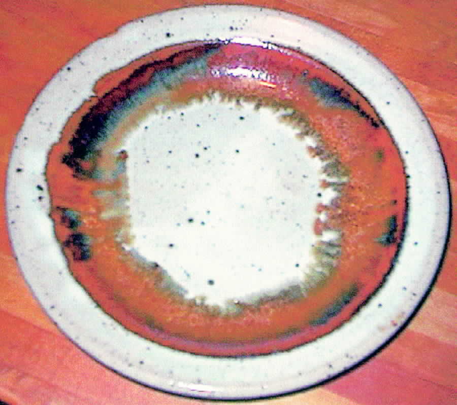 Earthtone Dinner Plate by Carol Ann-1