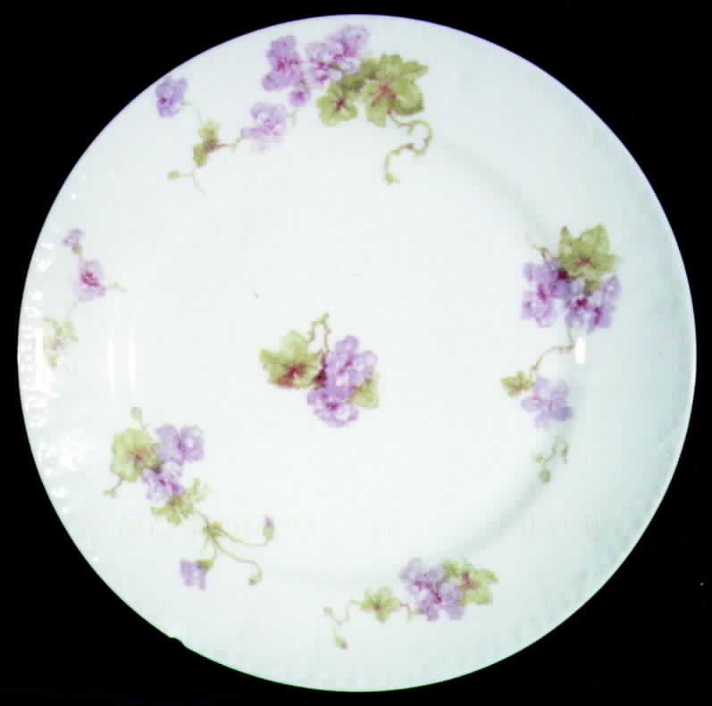 Schleiger 387 Dinner Plate by Charles Field Haviland-1