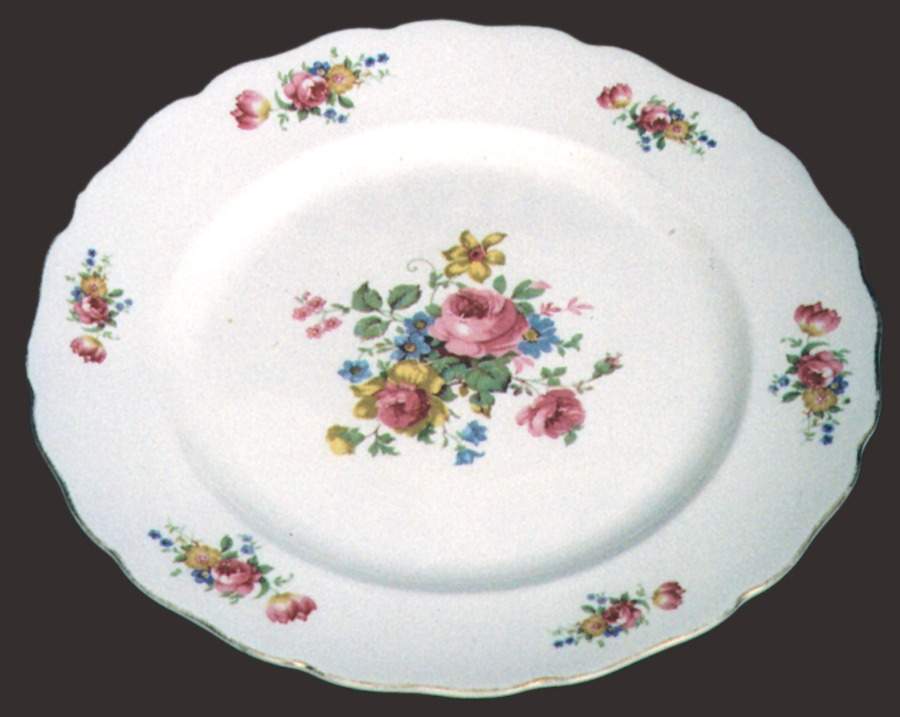 Adorable Dinner Plate by Canonsburg-1