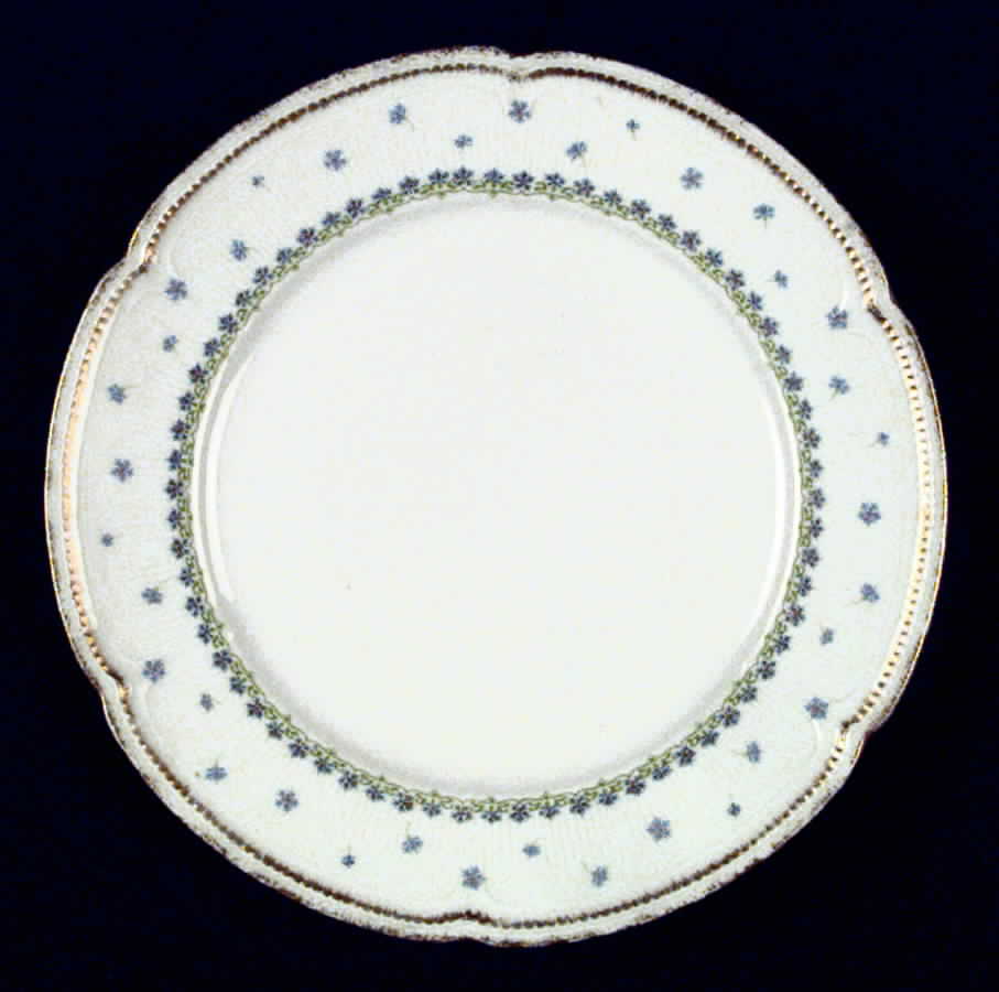 CHF379 Salad Plate by Charles Field Haviland-1
