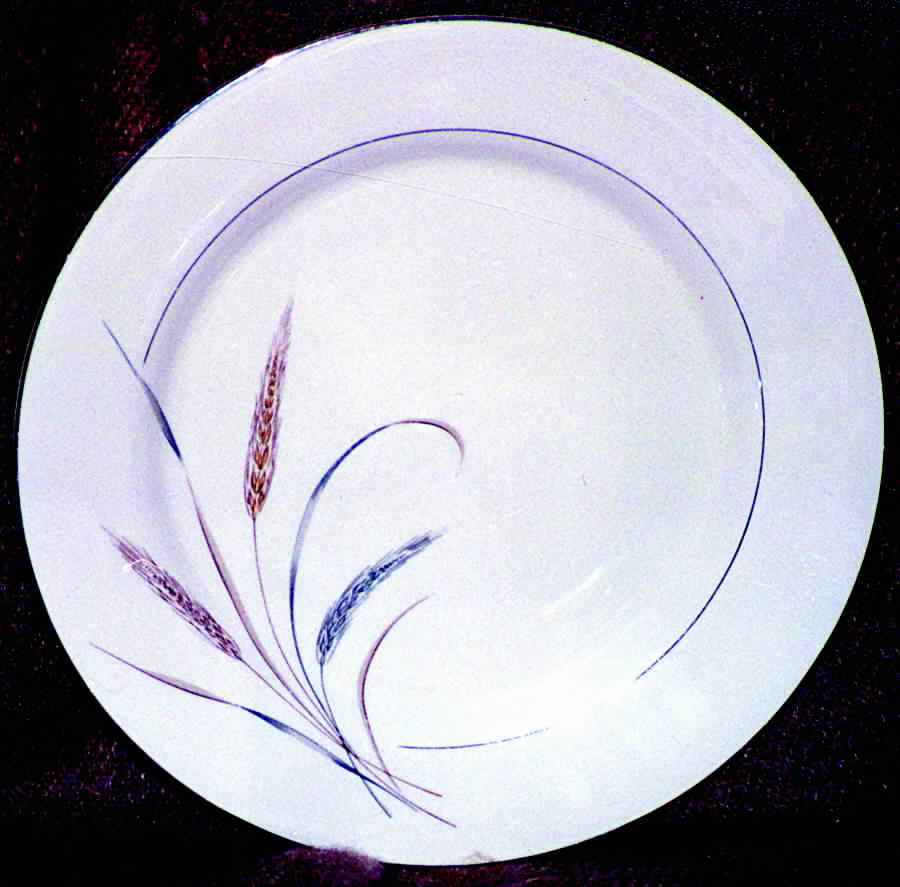 Harvest Serenade Dinner Plate by Carillon-1