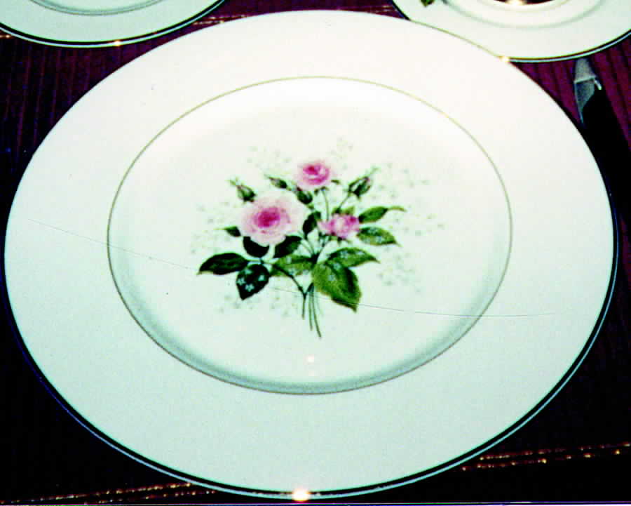 Rosepoint Dinner Plate by Colonial Silver -1