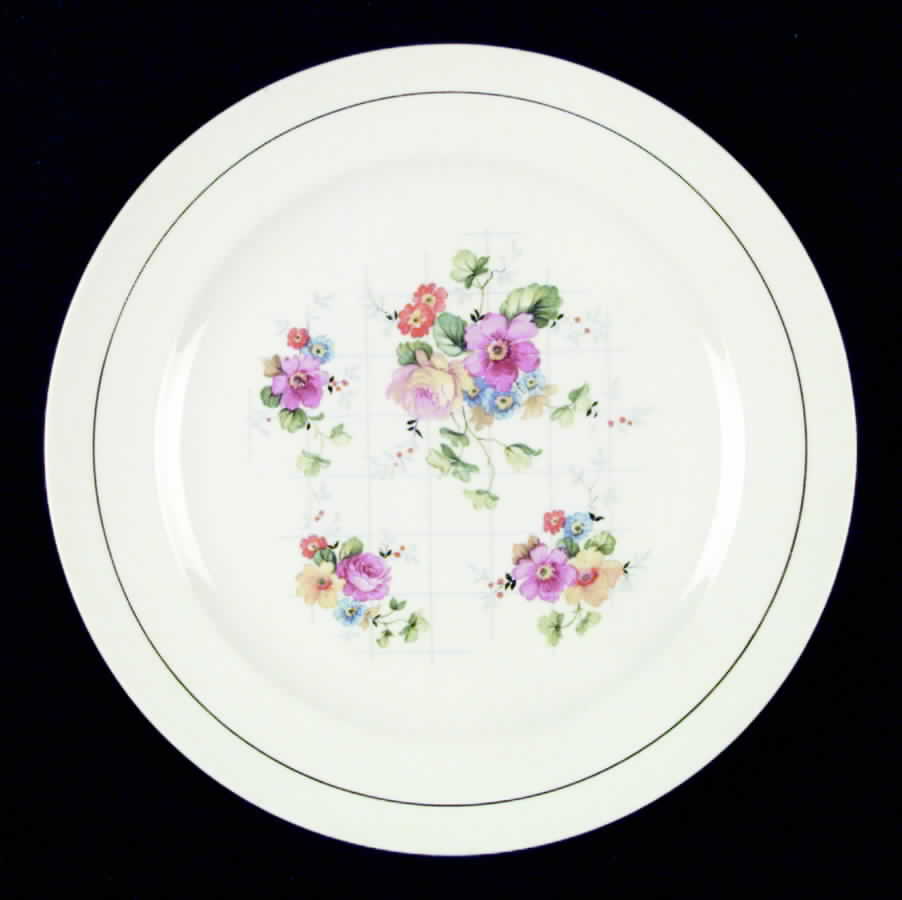 CRO123 Dinner Plate by Crooksville-1