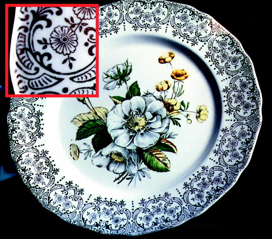CAN83 Dinner Plate by Canonsburg-1