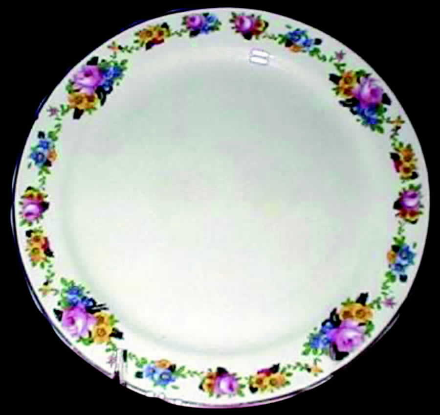 CRO124 Dinner Plate by Crooksville-1