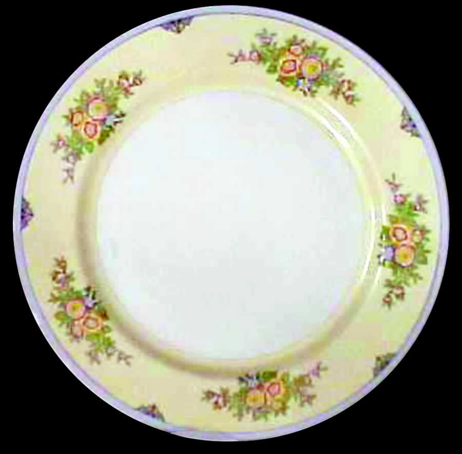 CEB48 Dinner Plate by Celebrate-1