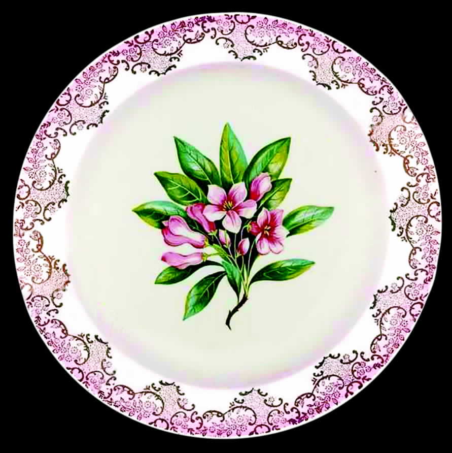 COI33 Dinner Plate by Cronin-1
