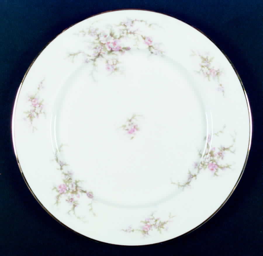 CPT3 Dinner Plate by Capital (USA)-1