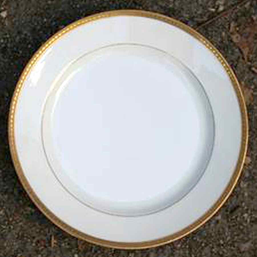 GRR27 Dinner Plate by Granger-Limoges-1
