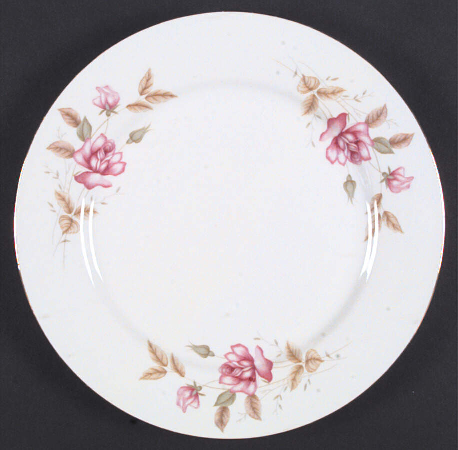 CX581 Dinner Plate by China (Made in China)-1