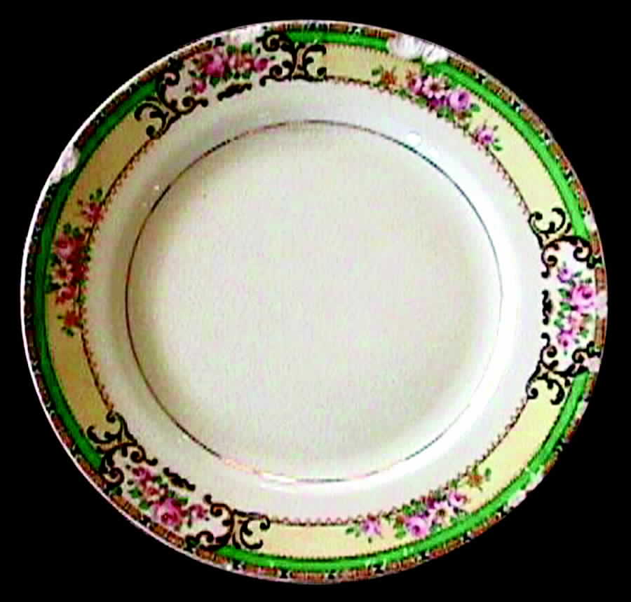 CRO127 Dinner Plate by Crooksville-1