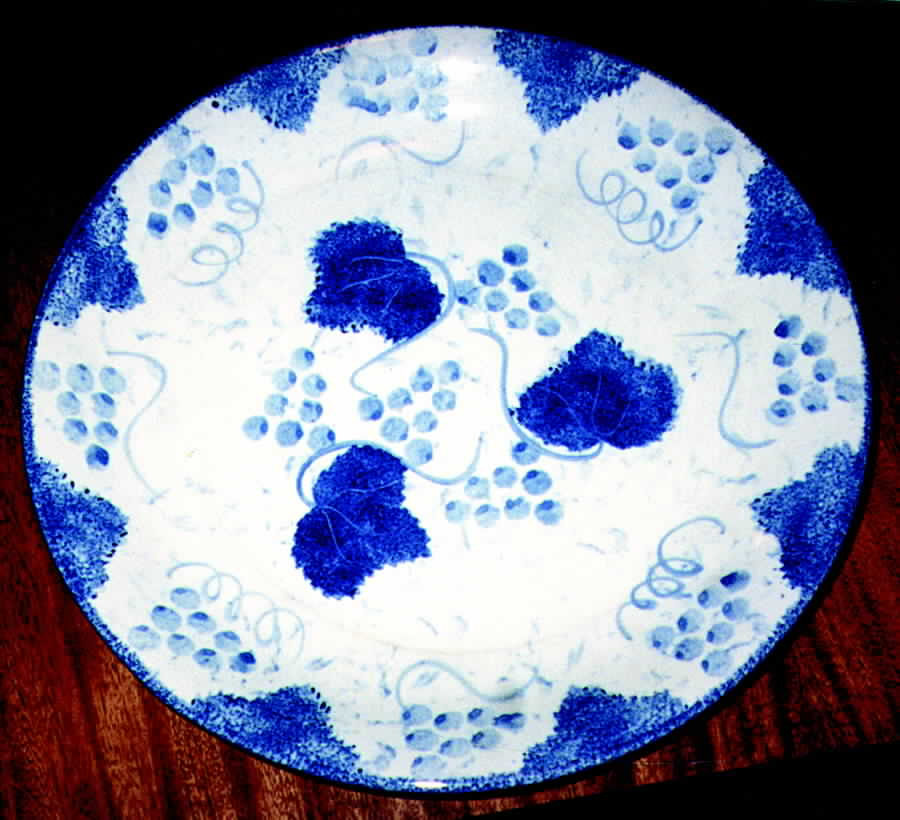 CBL4 Dinner Plate by Crate & Barrel-1