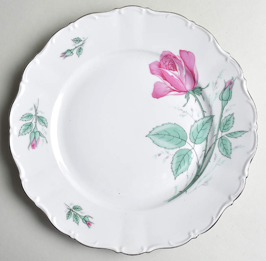 CAT3 Dinner Plate by Cathedral-1