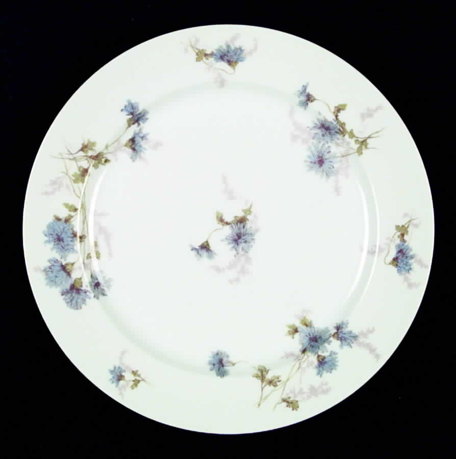 Schleiger 378f Dinner Plate by Charles Field Haviland-1