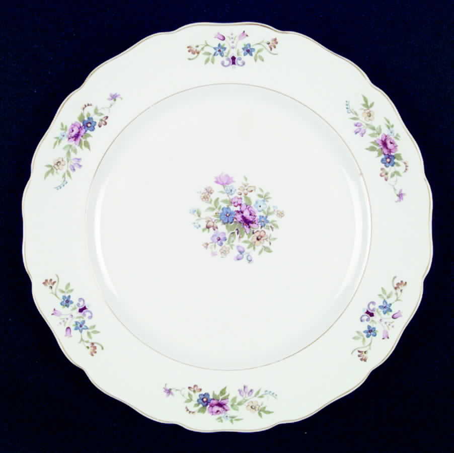 CAN85 Dinner Plate by Canonsburg-1