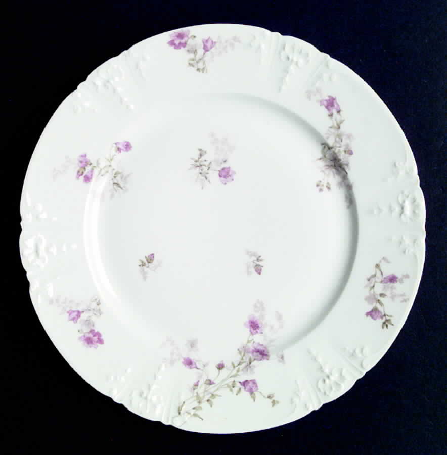 Schleiger 1294-1 Dinner Plate by Charles Field Haviland-1