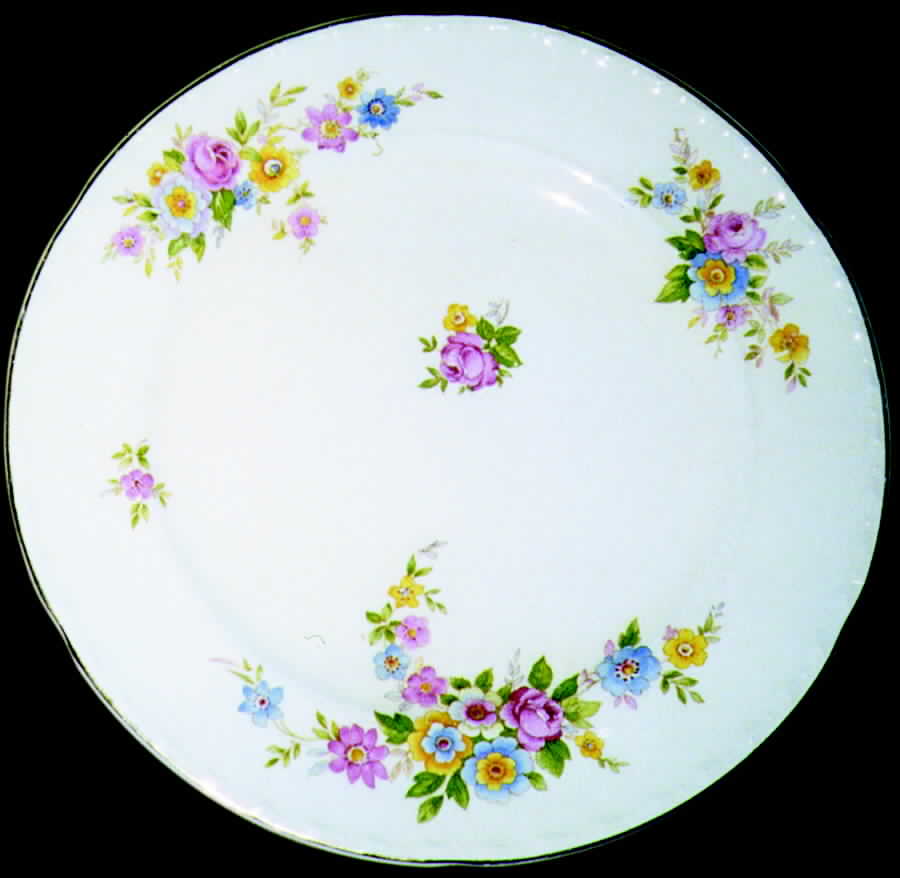 CRO130 Dinner Plate by Crooksville-1