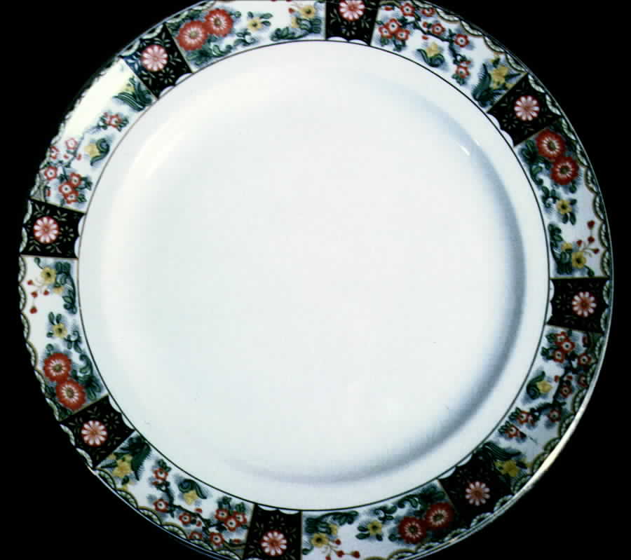 CAN86 Dinner Plate by Canonsburg-1