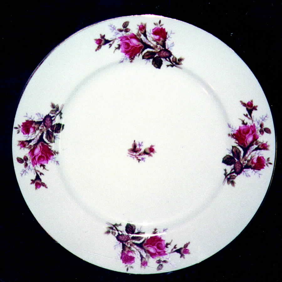 COW7 Dinner Plate by Crown China (Japan)-1