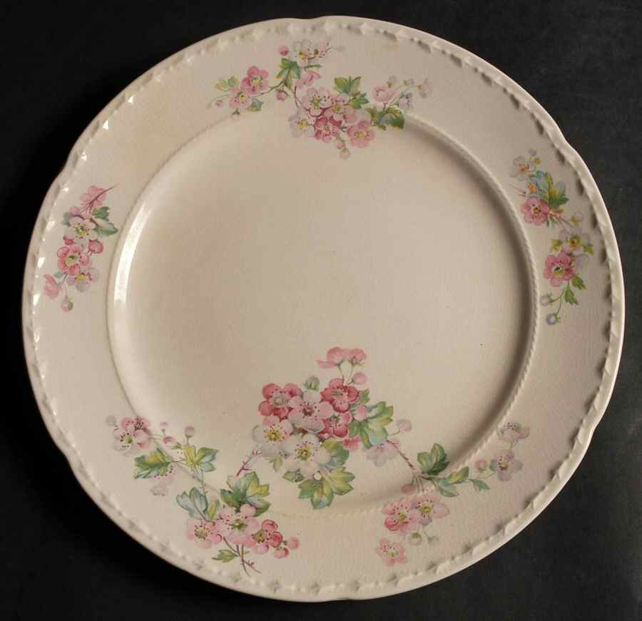 CRO133 Dinner Plate by Crooksville-1
