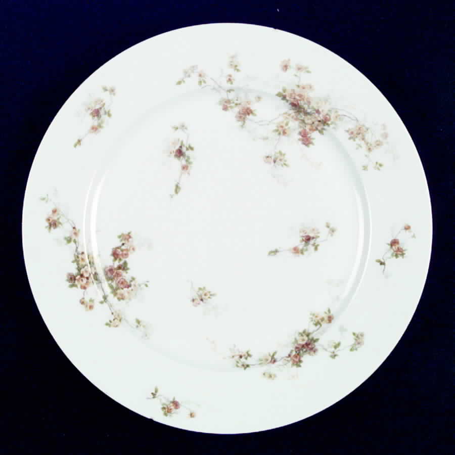 CHF411 Dinner Plate by Charles Field Haviland-1