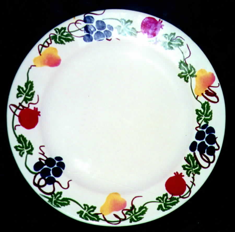 CPY1 Dinner Plate by Chapparral-1