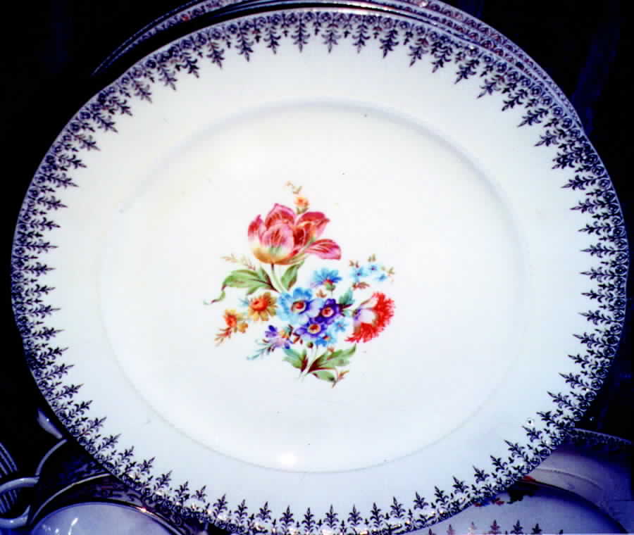 CRO135 Dinner Plate by Crooksville-1