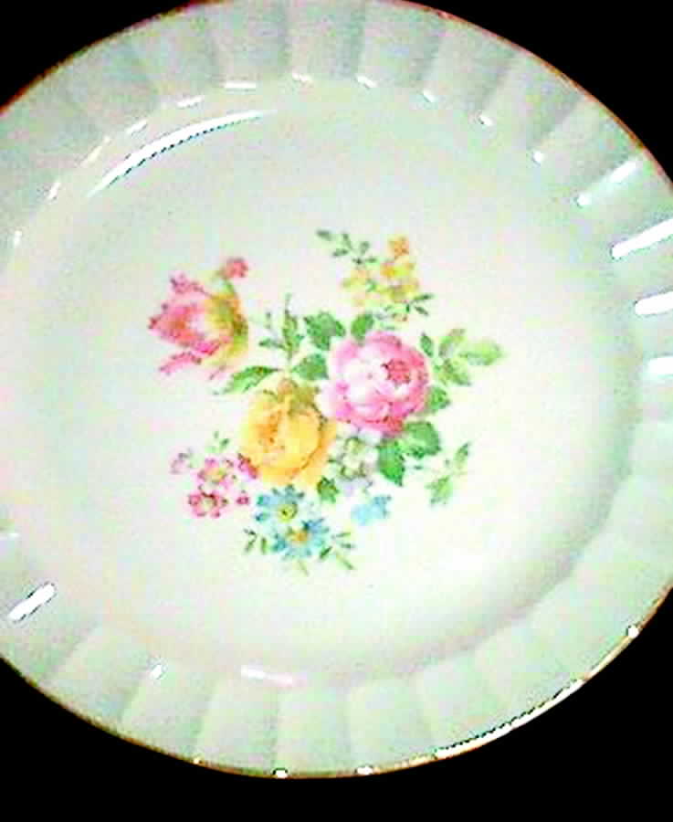 COI38 Dinner Plate by Cronin-1