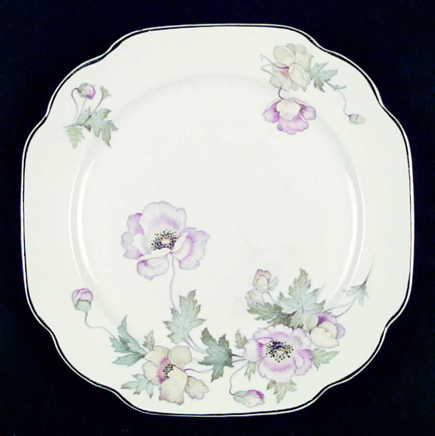 CRO137 Dinner Plate by Crooksville-1