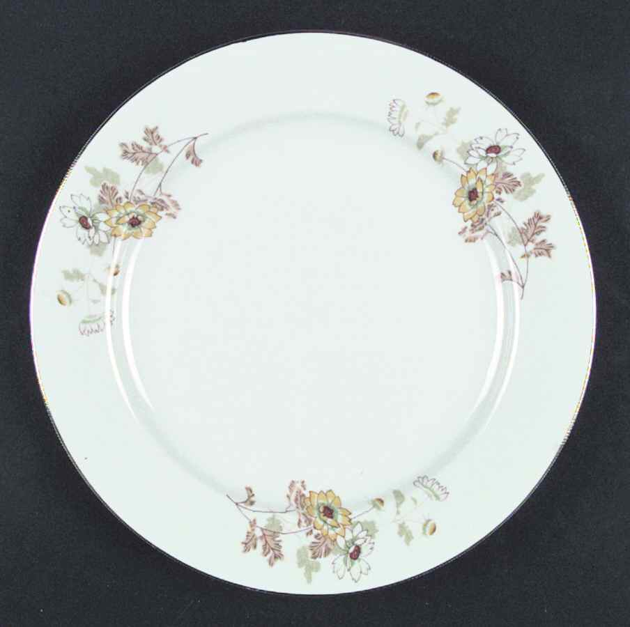 NTH3 Dinner Plate by Northridge-1