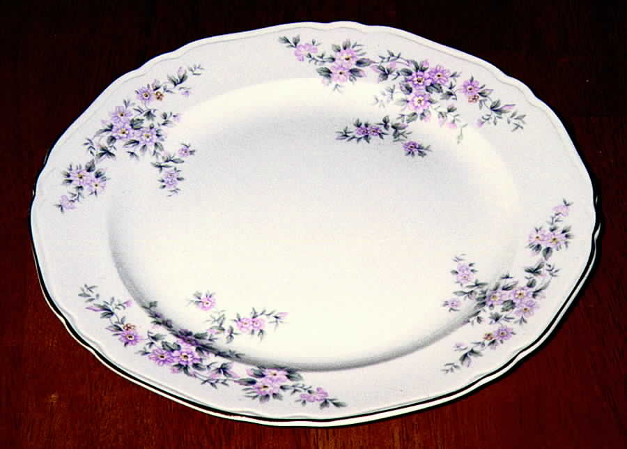 CRP48 Dinner Plate by Crown Potteries-1