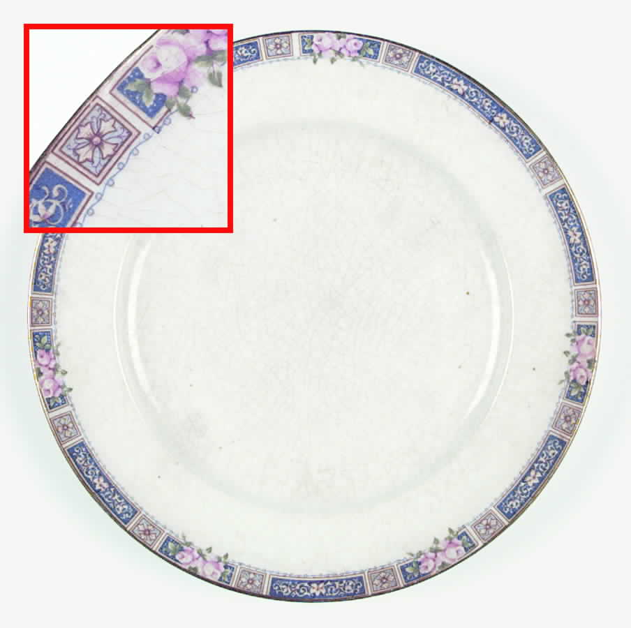 CAN90 Dinner Plate by Canonsburg-1