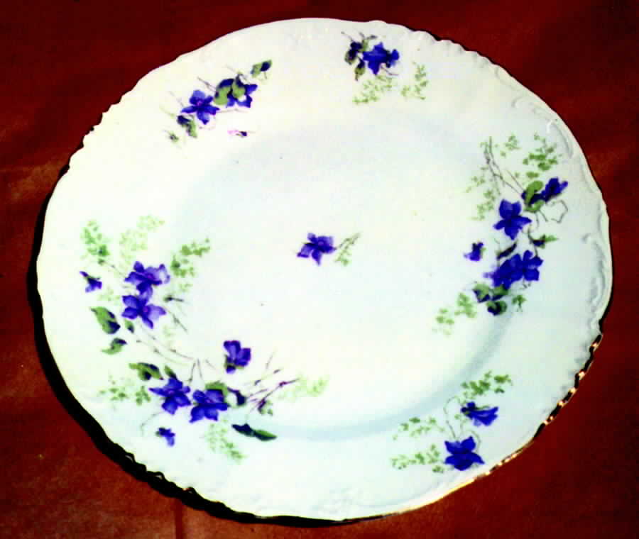 9161 Dinner Plate by Carlsbad-1