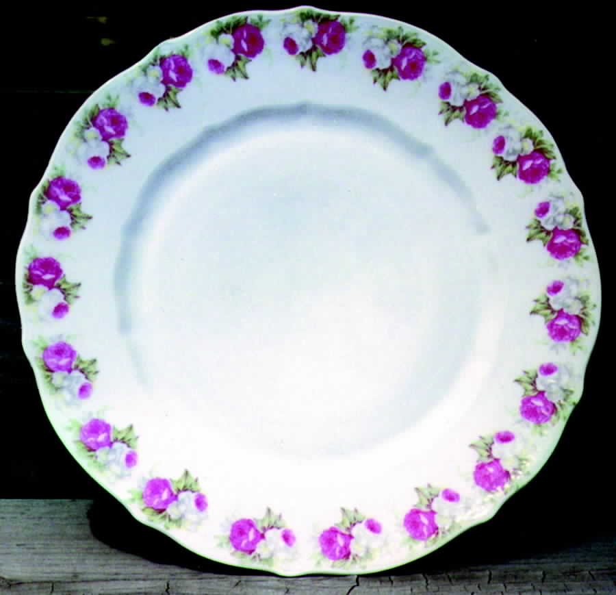 CTI40 Dinner Plate by Carl Tielsch-1