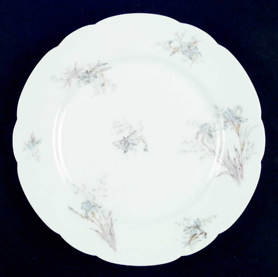 CHF425 Dinner Plate by Charles Field Haviland-1