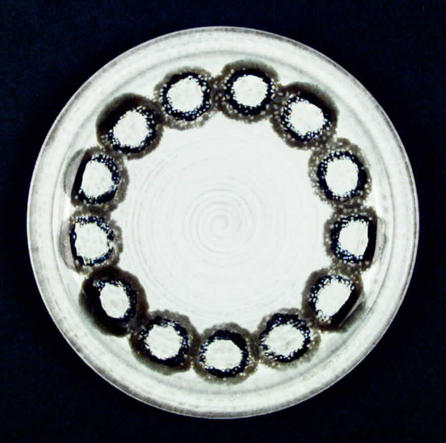 Tique Salad Plate by Ceramano-1