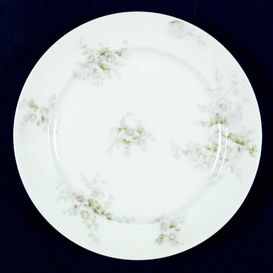 CHF428 Salad Plate by Charles Field Haviland-1