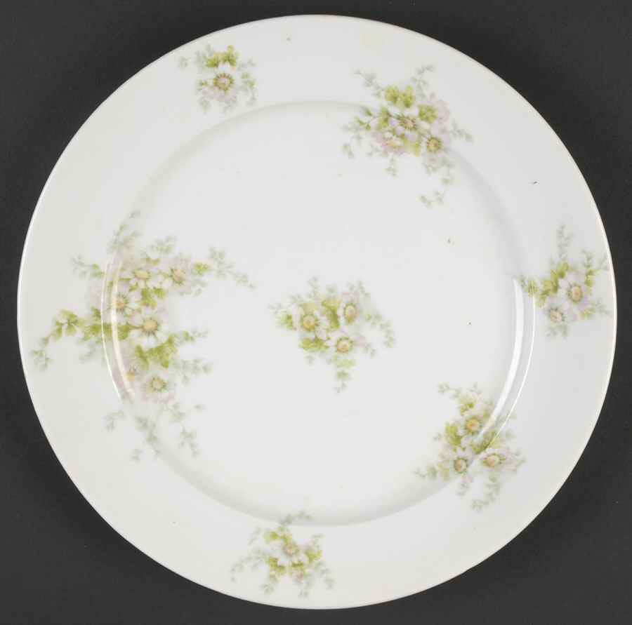 CHF428 Dinner Plate by Charles Field Haviland-1