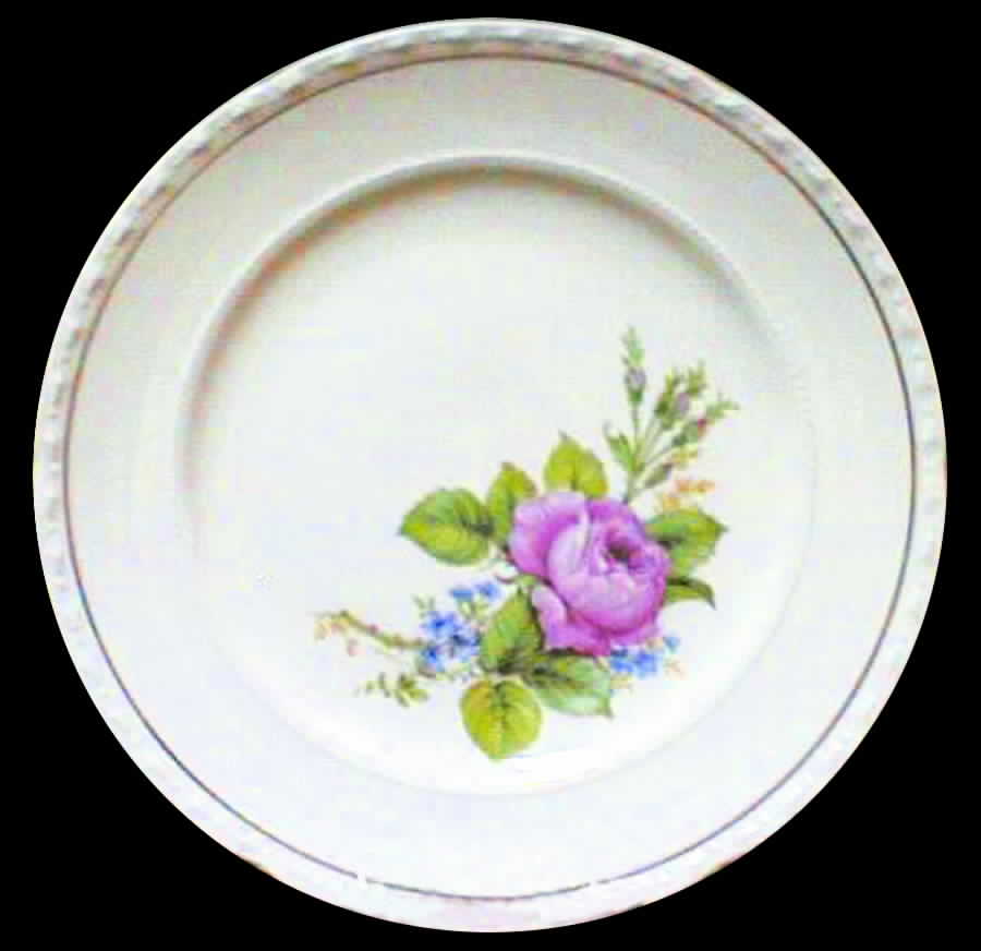 CRO140 Dinner Plate by Crooksville-1