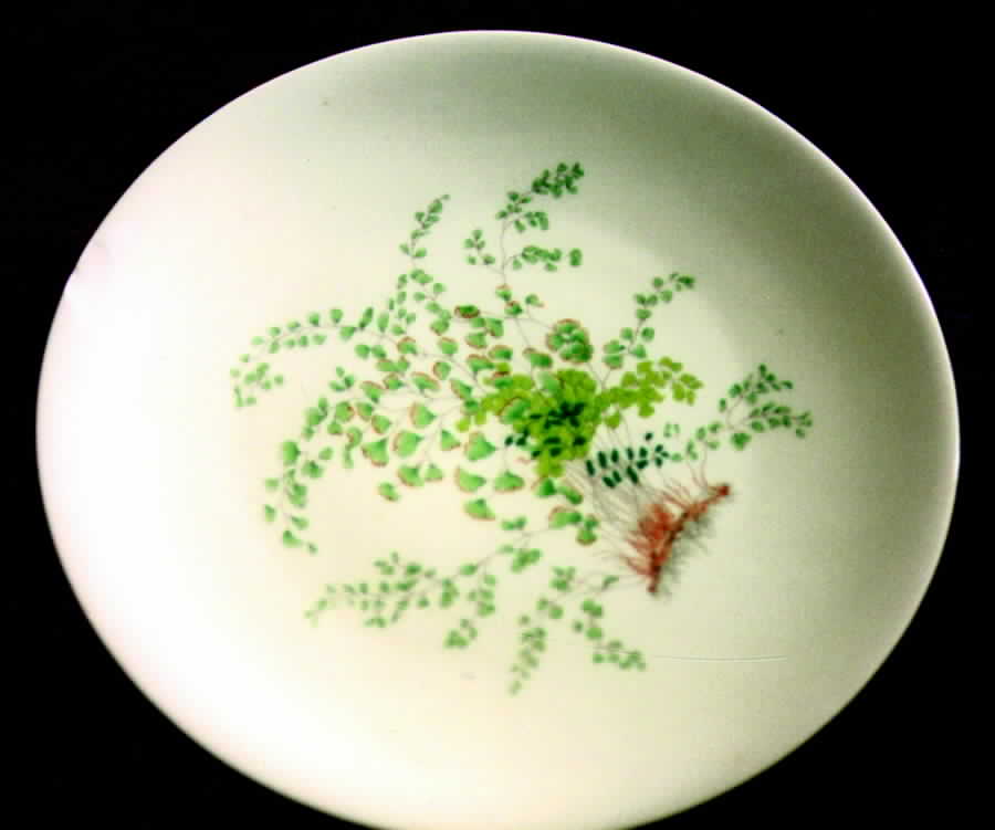 CHF430 Salad Plate by Charles Field Haviland-1