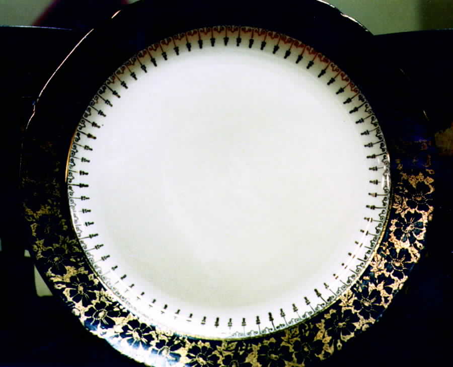 CRO141 Dinner Plate by Crooksville-1