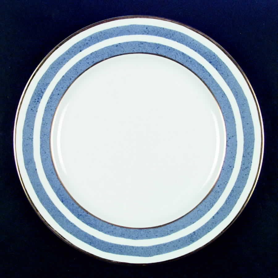 Veranda Dinner Plate by Crate & Barrel-1