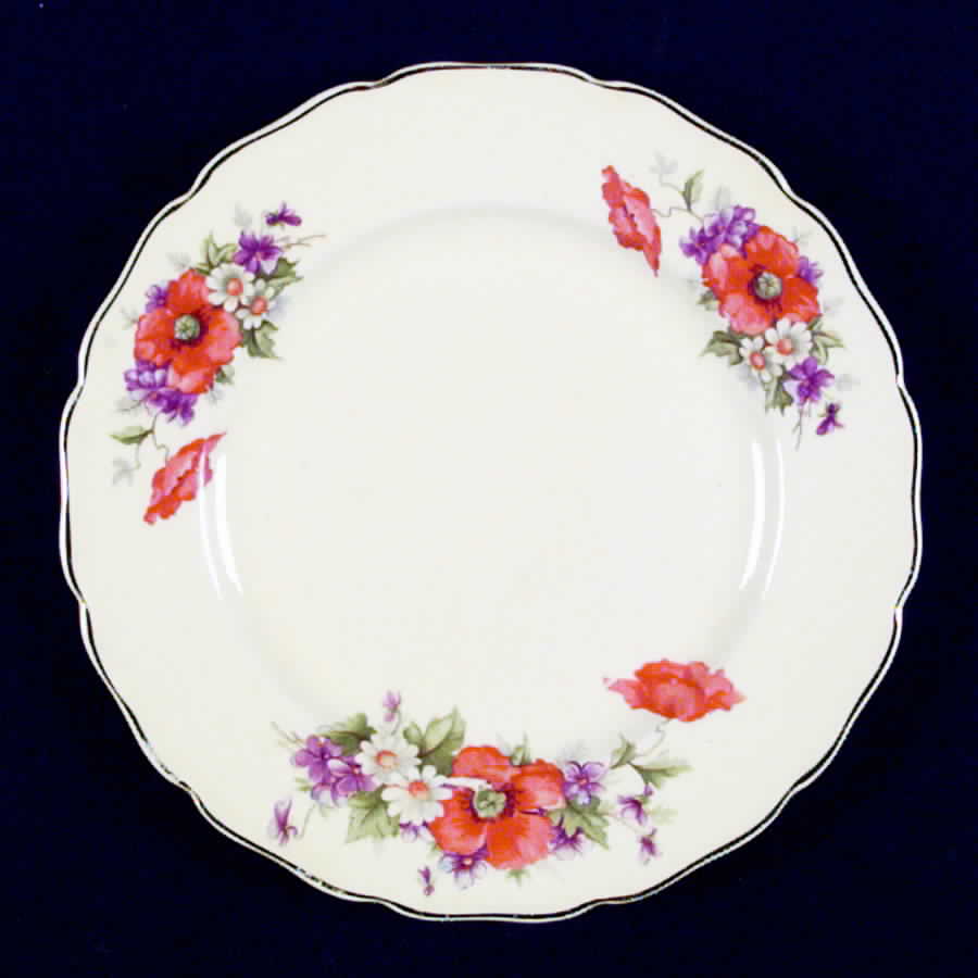 CAN93 Dessert/Pie Plate by Canonsburg-1