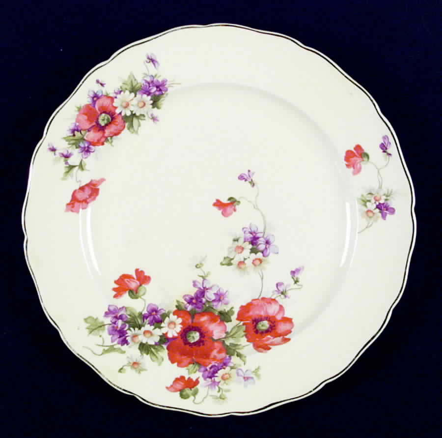 CAN93 Luncheon Plate by Canonsburg-1