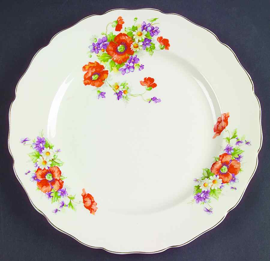 CAN93 Dinner Plate by Canonsburg-1